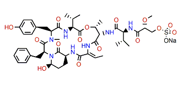 Symplostatin 9